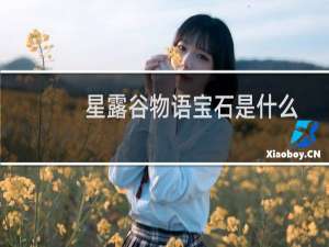 星露谷物语宝石是什么