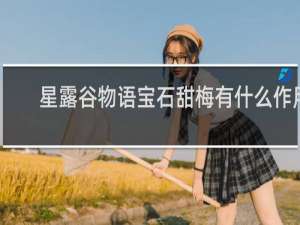 星露谷物语宝石甜梅有什么作用