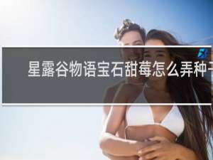 星露谷物语宝石甜莓怎么弄种子