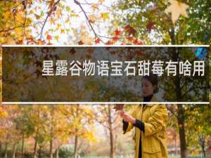 星露谷物语宝石甜莓有啥用