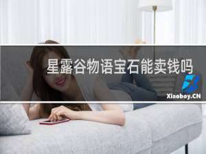 星露谷物语宝石能卖钱吗