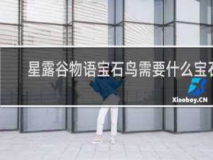 星露谷物语宝石鸟需要什么宝石