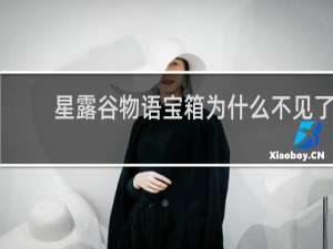 星露谷物语宝箱为什么不见了