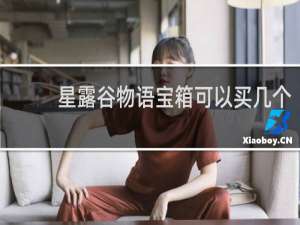 星露谷物语宝箱可以买几个