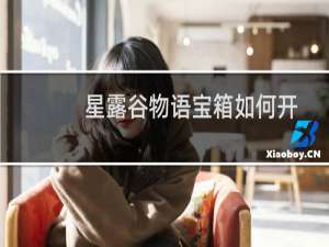 星露谷物语宝箱如何开