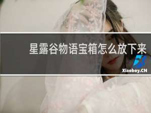 星露谷物语宝箱怎么放下来