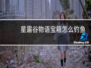 星露谷物语宝箱怎么钓鱼