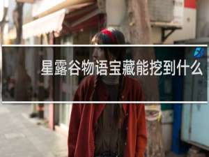 星露谷物语宝藏能挖到什么