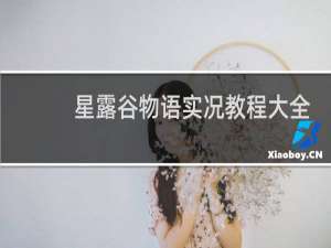 星露谷物语实况教程大全