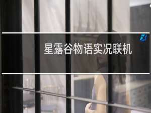 星露谷物语实况联机