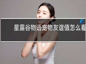 星露谷物语宠物友谊值怎么看