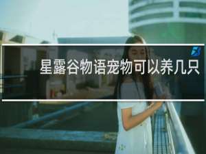 星露谷物语宠物可以养几只