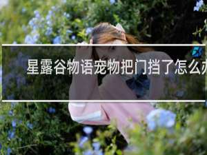 星露谷物语宠物把门挡了怎么办