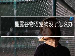 星露谷物语宠物没了怎么办