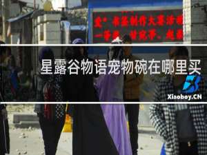 星露谷物语宠物碗在哪里买