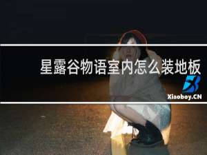 星露谷物语室内怎么装地板