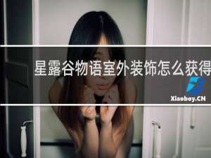 星露谷物语室外装饰怎么获得