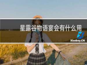 星露谷物语宴会有什么用