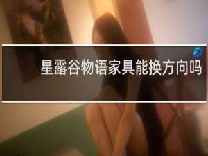 星露谷物语家具能换方向吗