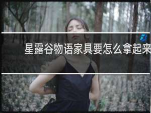 星露谷物语家具要怎么拿起来