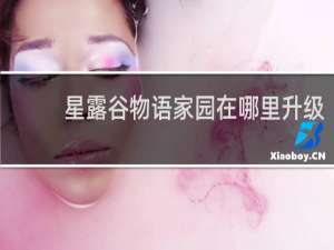 星露谷物语家园在哪里升级