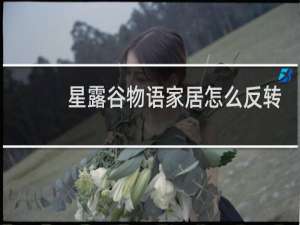 星露谷物语家居怎么反转