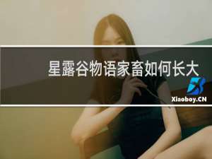 星露谷物语家畜如何长大