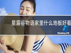 星露谷物语家里什么地板好看