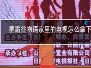 星露谷物语家里的电视怎么拿下来