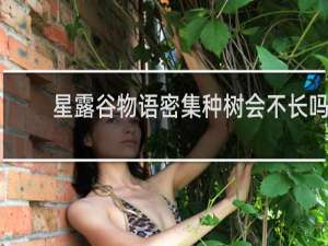 星露谷物语密集种树会不长吗