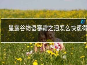 星露谷物语寒霜之泪怎么快速得到