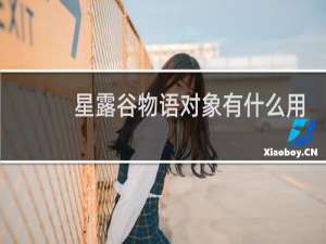 星露谷物语对象有什么用