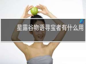 星露谷物语寻宝者有什么用