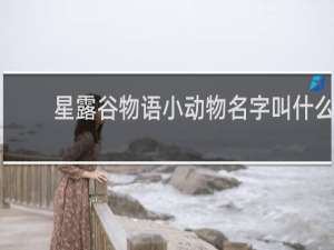 星露谷物语小动物名字叫什么