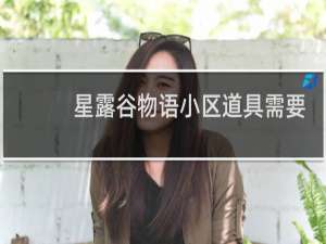 星露谷物语小区道具需要