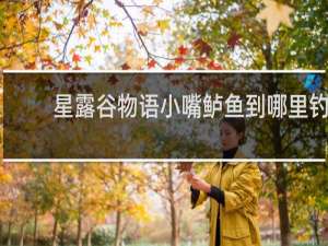 星露谷物语小嘴鲈鱼到哪里钓