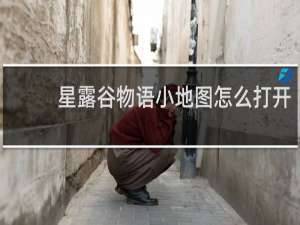 星露谷物语小地图怎么打开