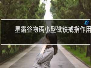 星露谷物语小型磁铁戒指作用