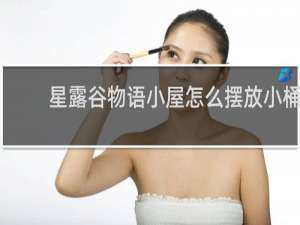 星露谷物语小屋怎么摆放小桶