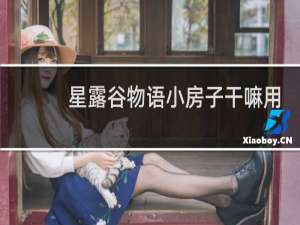 星露谷物语小房子干嘛用