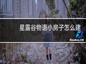 星露谷物语小房子怎么建