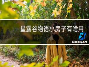 星露谷物语小房子有啥用