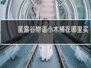 星露谷物语小木桶在哪里买