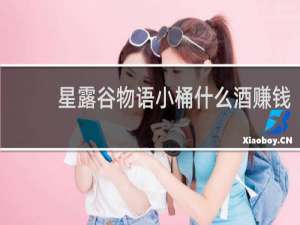 星露谷物语小桶什么酒赚钱