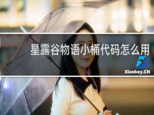 星露谷物语小桶代码怎么用