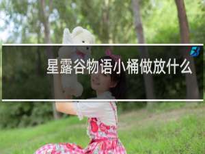 星露谷物语小桶做放什么