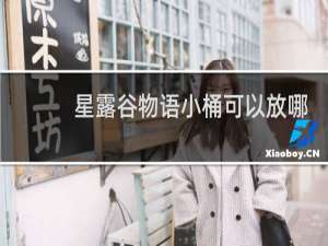 星露谷物语小桶可以放哪