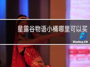 星露谷物语小桶哪里可以买