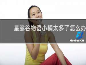 星露谷物语小桶太多了怎么办