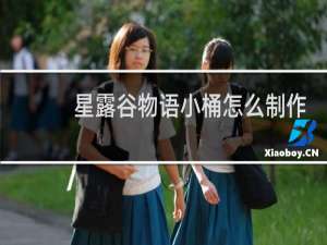 星露谷物语小桶怎么制作